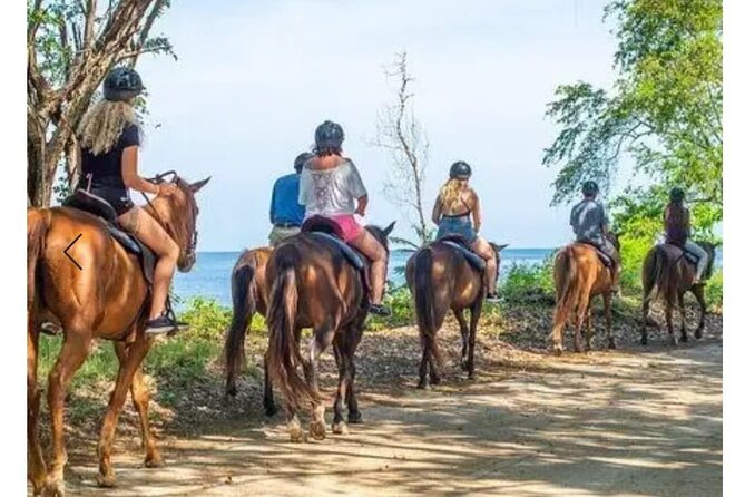 Private Transport and Airport Transfer in Montego Bay - Luggage Service From Curbside to Hotel