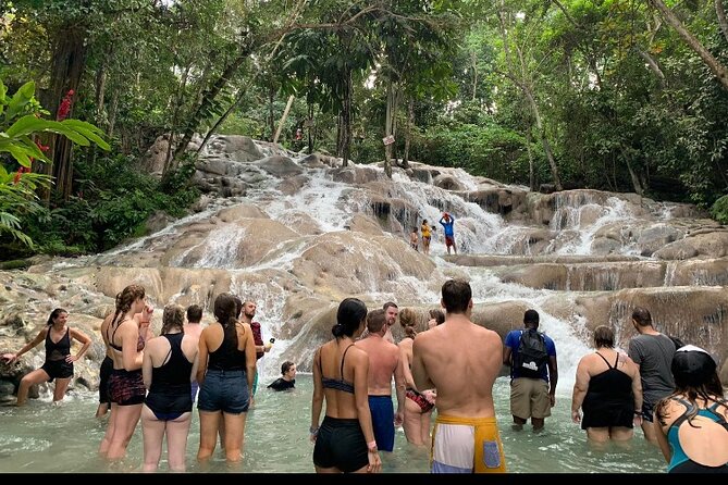 Private Transportation from Montego Bay to Mystic Mountain and Dunn's River Fall - A private ride from Montego Bay to two Jamaican favorites