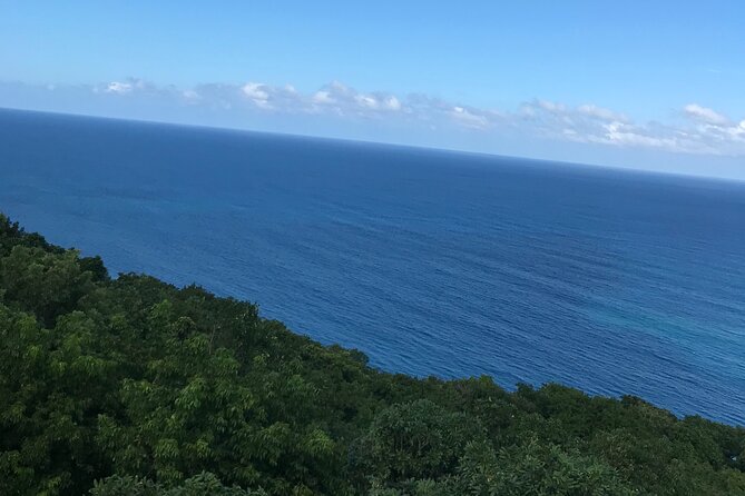 Private Transportation from Montego Bay to Mystic Mountain and Dunn's River Fall - Timing two stops without rushing