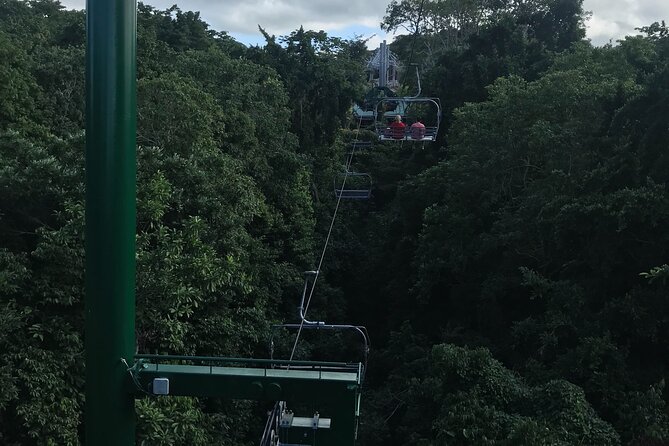 Private Transportation from Montego Bay to Mystic Mountain and Dunn's River Fall - Should you book this Montego Bay excursion?