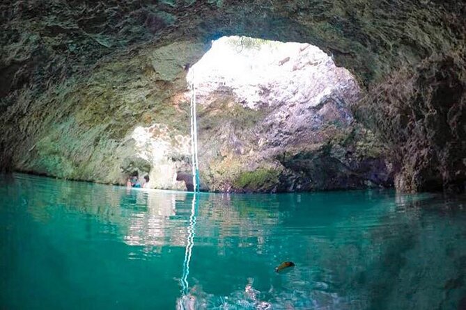 Private Trip to Blue Hole Mineral Springs, Negril & Ricks Café - Blue Hole Mineral Spring and the 55-foot jump