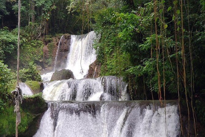 [PRIVATE] YS Falls, Black River, Pelican Bar - Entrance & Lunch - Practical advice before you book