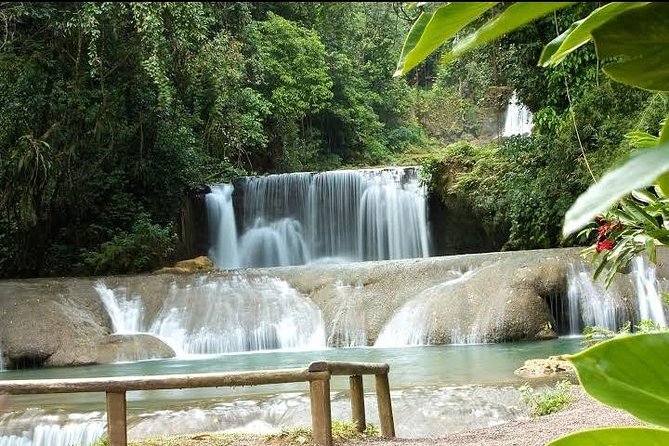 Private YS Falls Tour from Montego Bay - Choosing the zipline, river pool, or a slower afternoon