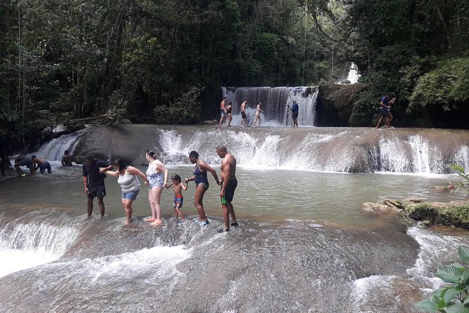 Private YS Falls Tour from Montego Bay - What the private guide adds