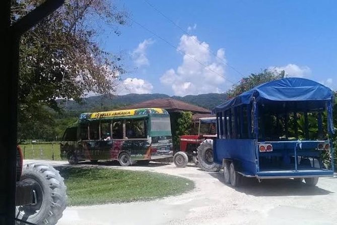 Private YS Falls Tour from Montego Bay - Who will get the most from this tour?