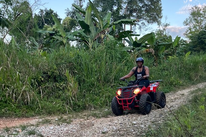 Rad Venture ATV, Transportation & Lunch - The rainforest finish and photo stops