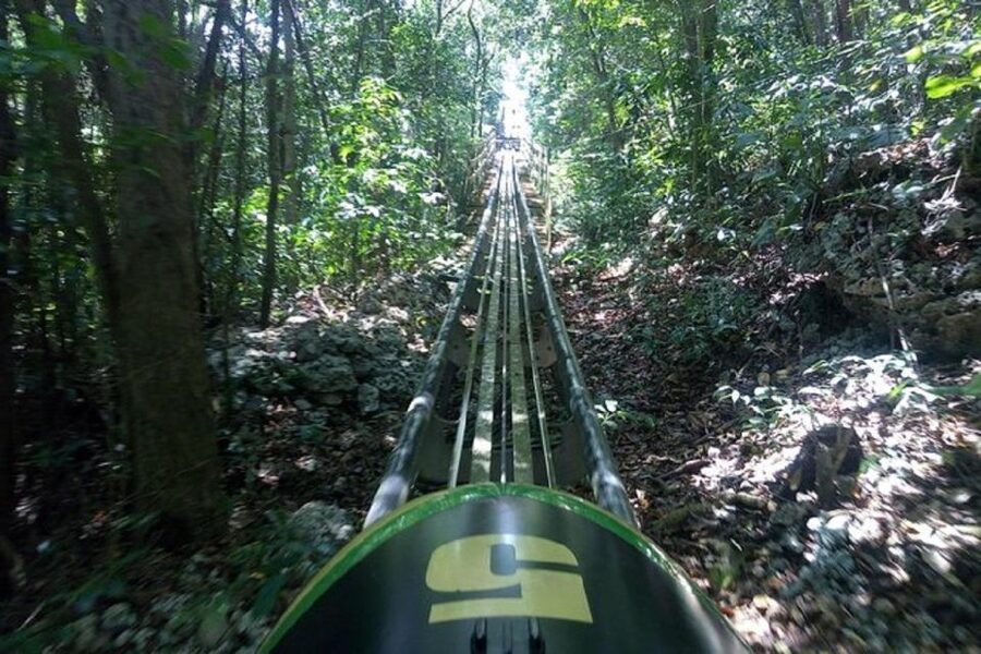 Rainforest Bobsled Mystic Mountain transportation - What is not included at Mystic Mountain