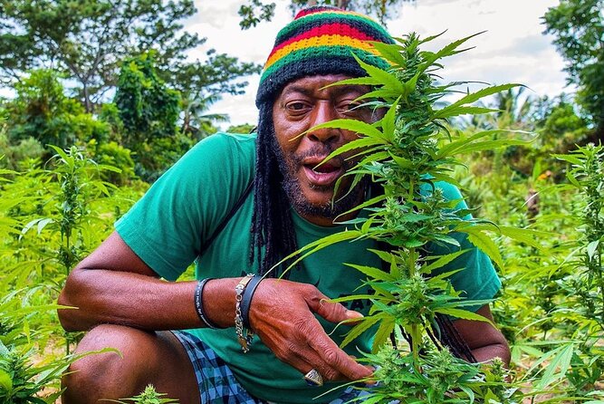 Rastafari Cultural ATV Community Experience from Montego Bay - Why this ATV ride is also a community visit