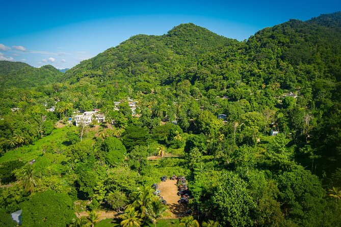 Rastafari Cultural ATV Community Experience from Montego Bay - Riding through farms, forest, and rural tracks