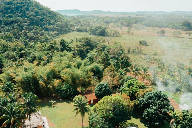 Rastafari Cultural ATV Community Experience from Montego Bay - Swimming in Roaring River