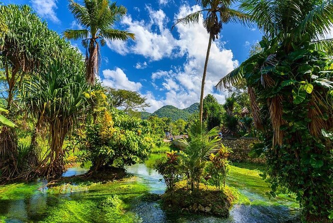 Rastafari Cultural ATV Community Experience from Montego Bay - A closer look at the ganja farm