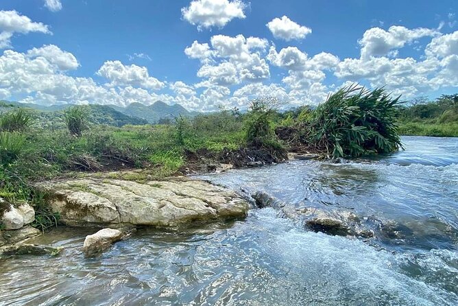 Rastafari Cultural ATV Community Experience from Montego Bay - Fruit straight from the trees