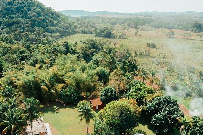 Rastafari Cultural ATV Community Experience from Negril - Riding past farms, rivers, and village life