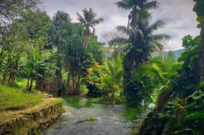 Rastafari Cultural ATV Community Experience from Negril - Cooling off in the natural mineral pool