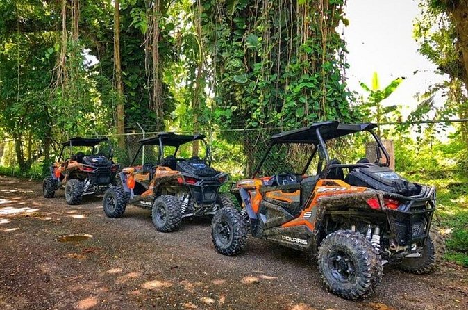 Rastafari Cultural ATV Community Experience from Negril - What makes the experience feel local