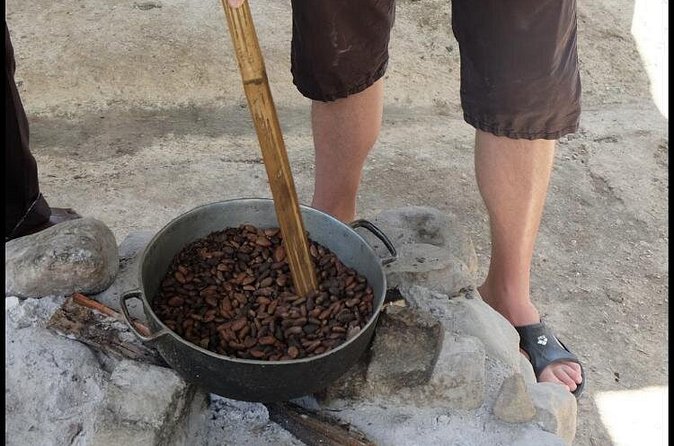 Rastafari Indigenous Village Tour - Medicinal herbs, fruit, and a taste of village life