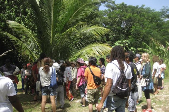 Rastafari Indigenous Village Tour - Learning Rastafari customs through people and place