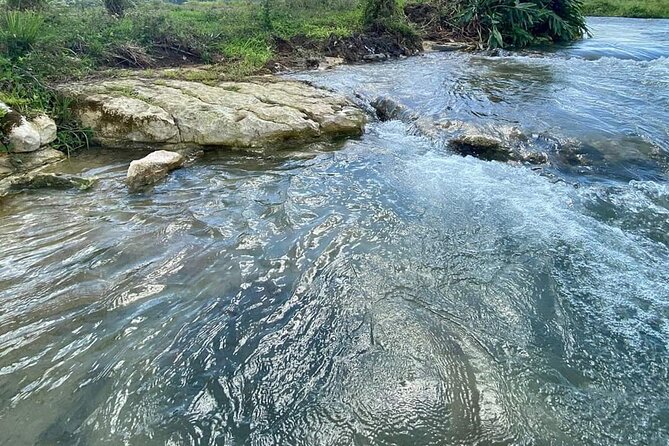 Rastasafari ATV Experience - Mineral springs, plants, and local fruit