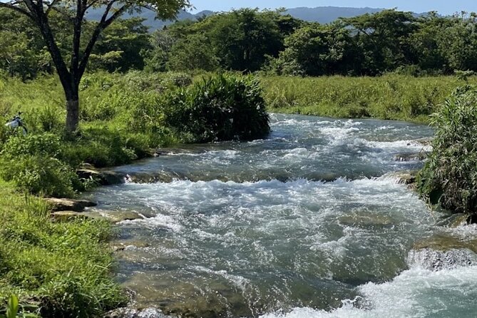 Rastasafari Experience ATV Adventure and Local Day Out - A Rasta-led day in rural Jamaica