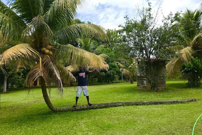 Rastasafari Experience ATV Adventure and Local Day Out - Natural mineral pools and the waterhole stop