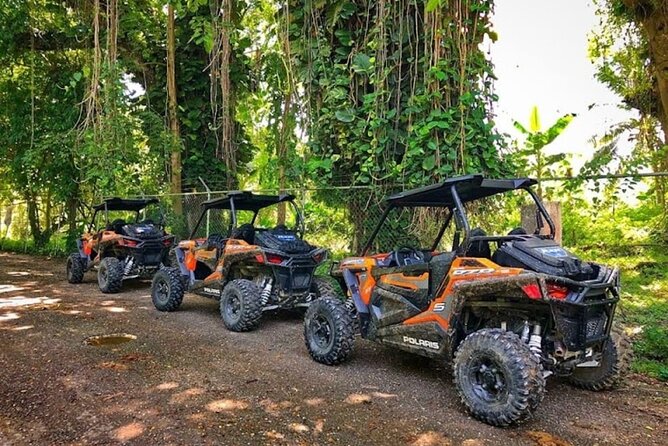 Rastasafari Experience ATV Adventure and Local Day Out - The welcome sets the tone