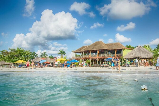 Rick s Café and Seven Mile Beach Private Tour Negril Jamaica - Should you book this Negril day trip?