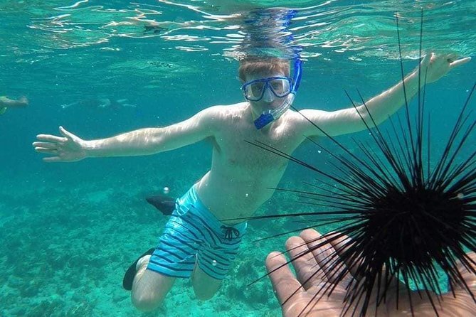 Rick's Cafe Sunset Cruise and Snorkelling - Key Points to Know Before You Book