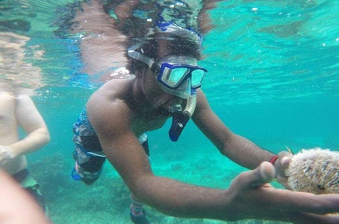 Rick's Cafe Sunset Cruise and Snorkelling - Who Will Enjoy This Cruise Most?