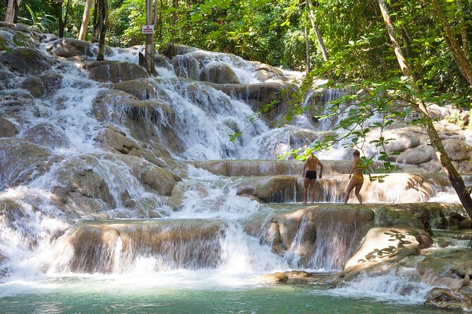Rio Nuevo Bamboo River Rafting & Dunn's River Falls - Rio Nuevo and the calm bamboo raft ride