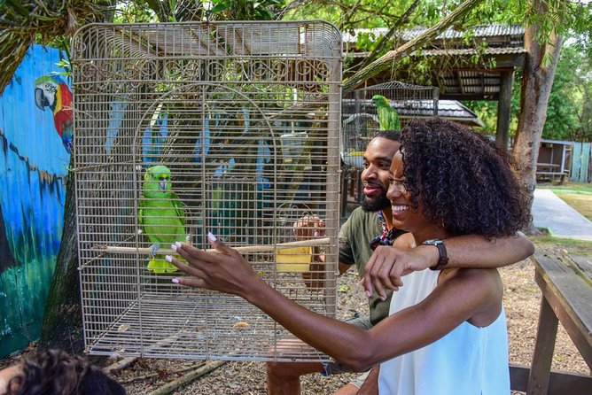 Rockland Bird Sanctuary plus Montego Bay Highlights & Shopping Private Tour - Key Points To Know Before Booking