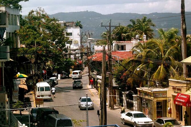 Rockland Bird Sanctuary plus Montego Bay Highlights & Shopping Private Tour - Timing, Weather, And Booking Details
