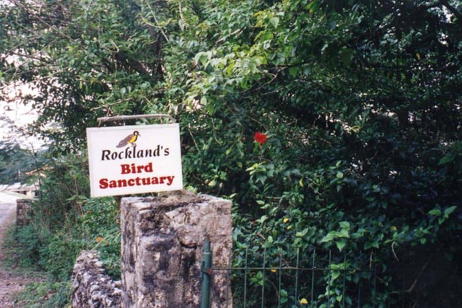 Rockland Bird Sanctuary Private Tour - Feeding hummingbirds at close range
