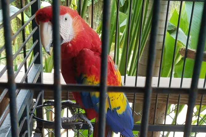 Rockland Bird Sanctuary Private Tour - What birds you may see