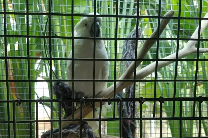Rockland Bird Sanctuary Private Tour - Who will enjoy this most?