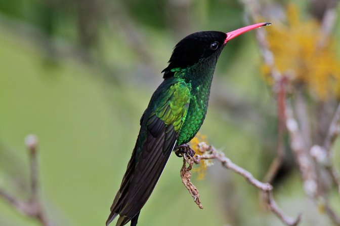 Rockland Bird Sanctuary Private Tour - Timing, weather, and what to bring