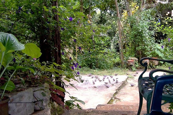 Rockland Bird Sanctuary Private Tour - The 20-minute ride from Montego Bay