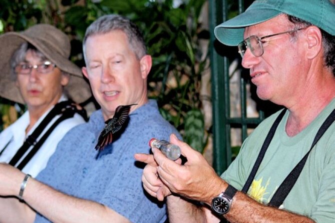 Rocklands Bird Sanctuary and Montego Bay Highlights Tour from Falmouth - Key points at a glance