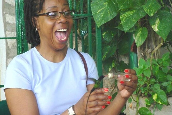 Rocklands Bird Sanctuary and Montego Bay Highlights Tour from Falmouth - St James Parish Church and Georgian details