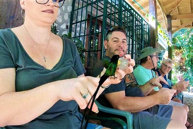 Rocklands Bird Sanctuary and Montego Bay Highlights Tour from Falmouth - What the $145 price really covers