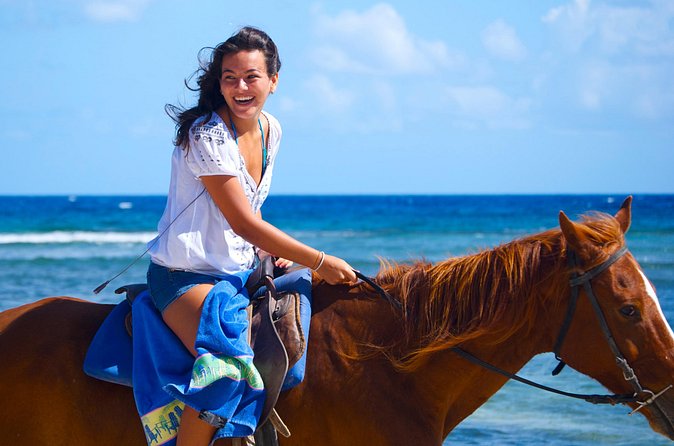 Sand n Saddle Horseback Ride & Swim Tour from Falmouth - Is $220 a Fair Price?