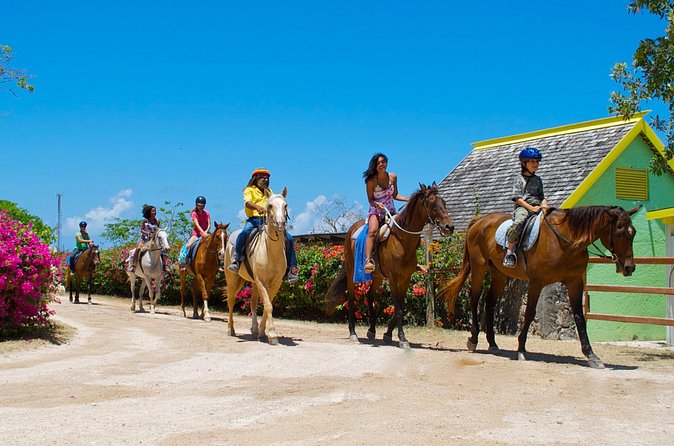 Sand n Saddle Horseback Ride & Swim Tour from Falmouth - What Families and First-Time Riders Should Know