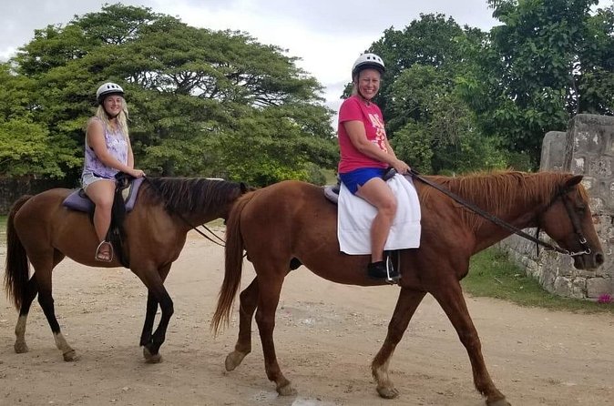 Sand n Saddle Horseback Ride & Swim Tour from Runaway Bay - Lunch, jerk food, and Red Stripe