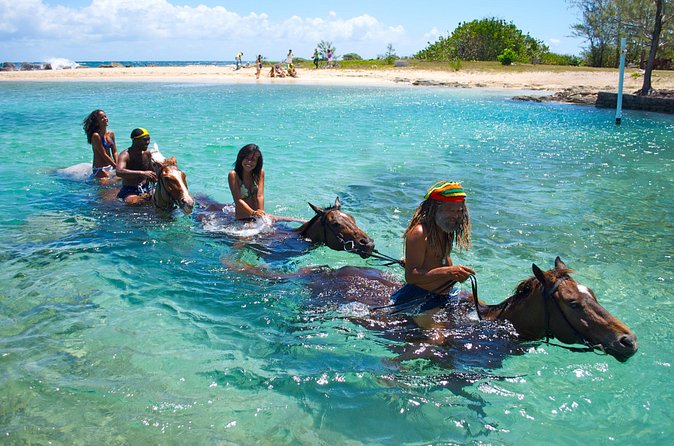 Sand n Saddle Horseback Ride & Swim Tour from Runaway Bay - Who will enjoy this most