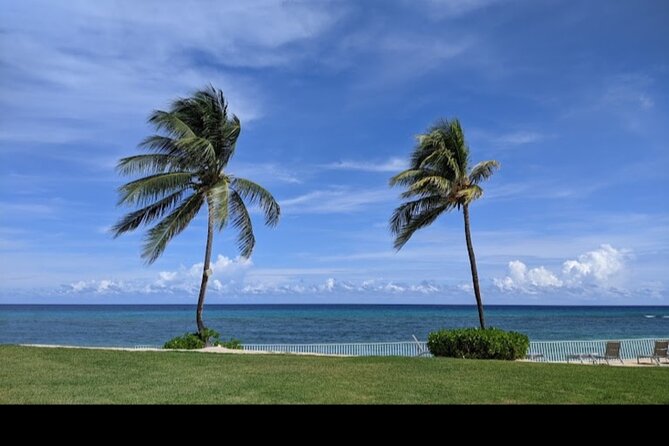 Sangster International Airport Private Transfer to Montego Bay - Cancellation and weather details