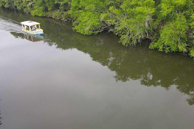 Scenic & Historical Nature Boat Safari Up the Negril River - Morning or afternoon: choosing the better departure