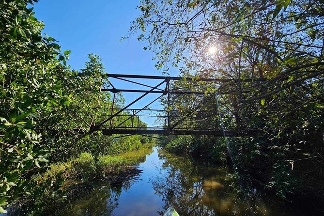 Scenic & Historical Nature Boat Safari Up the Negril River - Who will enjoy this most?