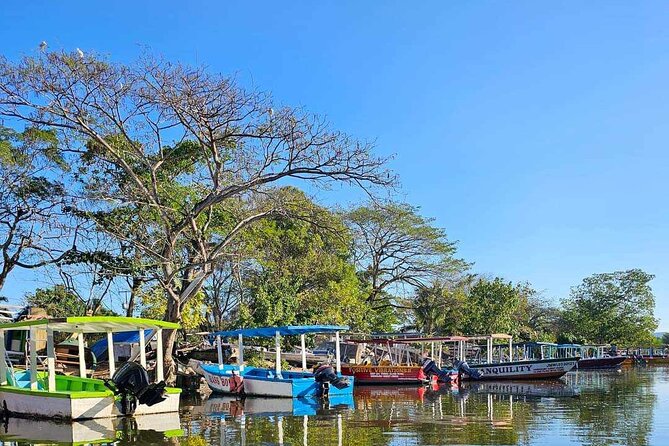 Scenic & Historical Nature Boat Safari Up the Negril River - Practical details before you reserve