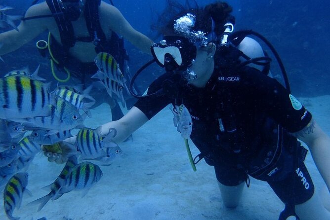 Scuba Diving and shopping on the Hipstrip. - What the $40 price really covers