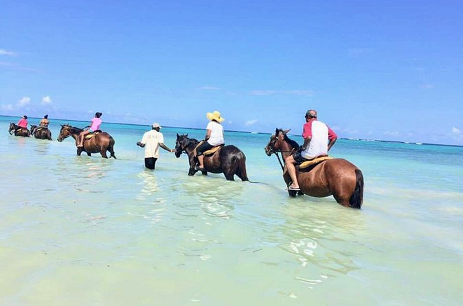 Secret Falls, Blue Hole, and Horseback Riding from Ocho Rios - Jerk food and optional shopping