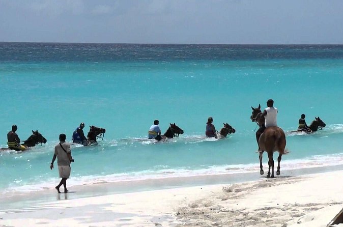 Secret Falls, Blue Hole, and Horseback Riding from Ocho Rios - Who should book this experience?